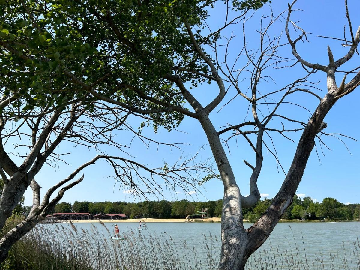 Drents Genieten - Riegheide Villa Erm Buitenkant foto