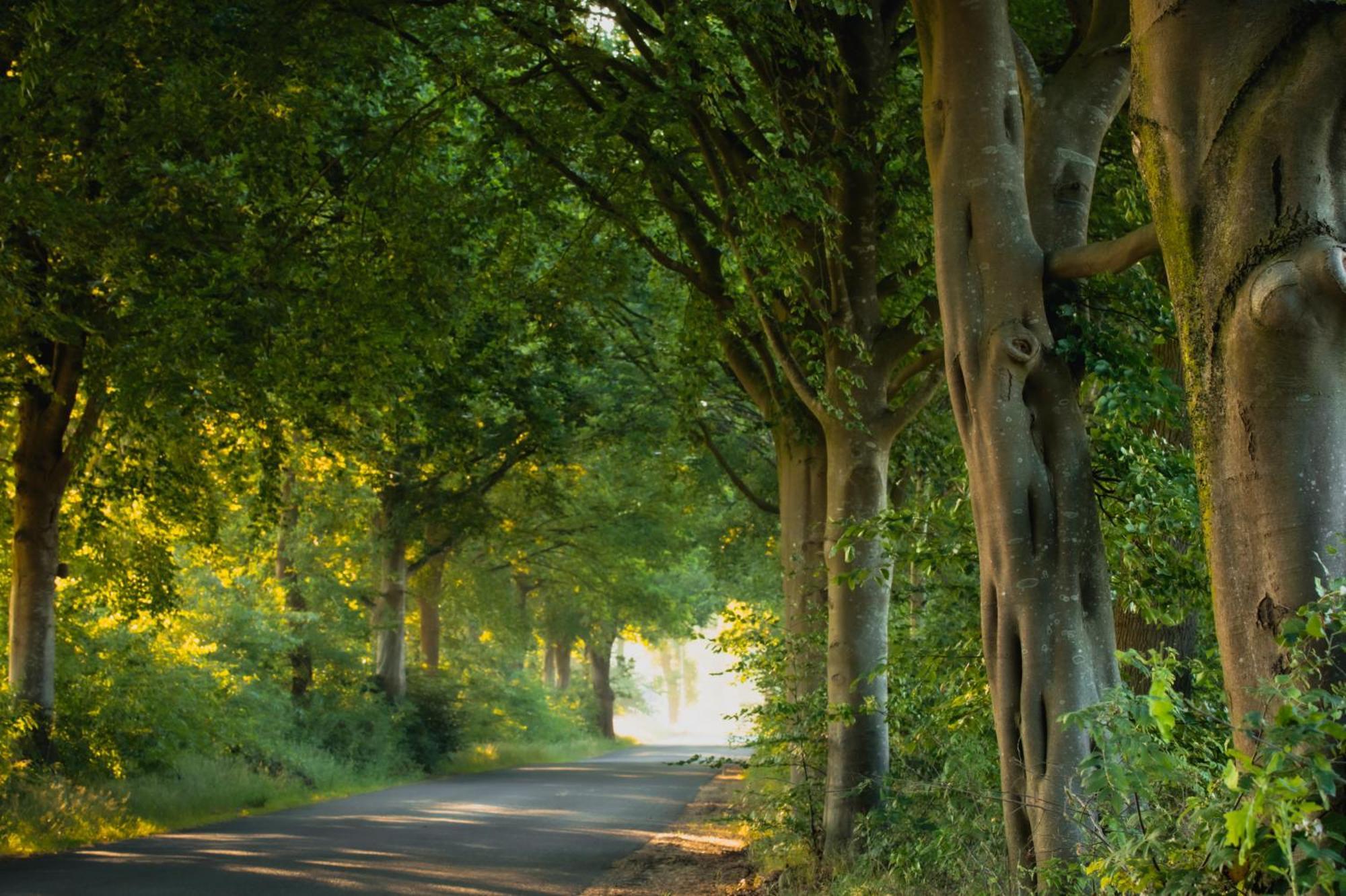 Drents Genieten - Riegheide Villa Erm Buitenkant foto
